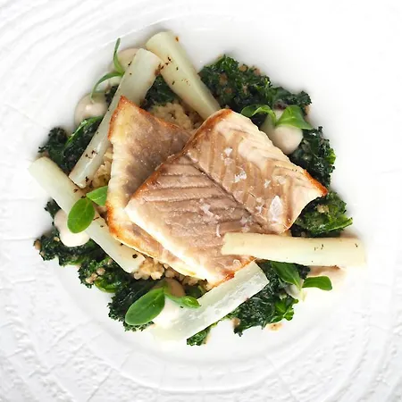 Natura Mazur & Conference فندق فارخاوي