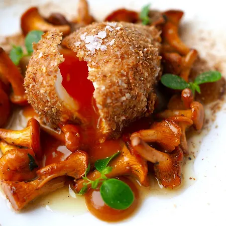 Natura Mazur & Conference